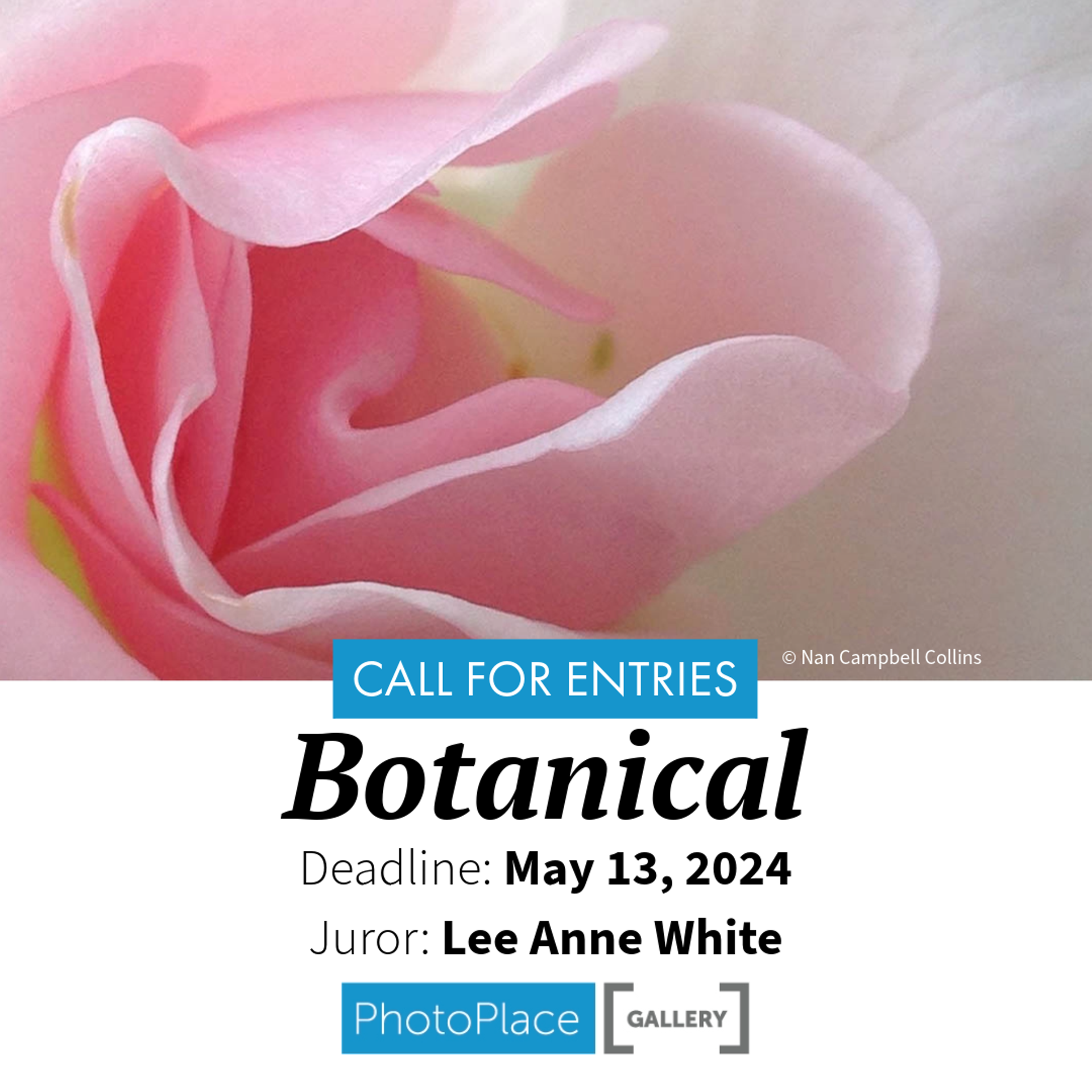 Image by Nan Campbell Collins