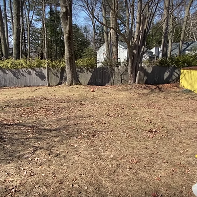 Image: Burlington Family Makes a Social Distancing Music Video, Because Why Not?