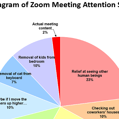 Image: Burlington Resident's Zoom Meeting Meme Goes Viral