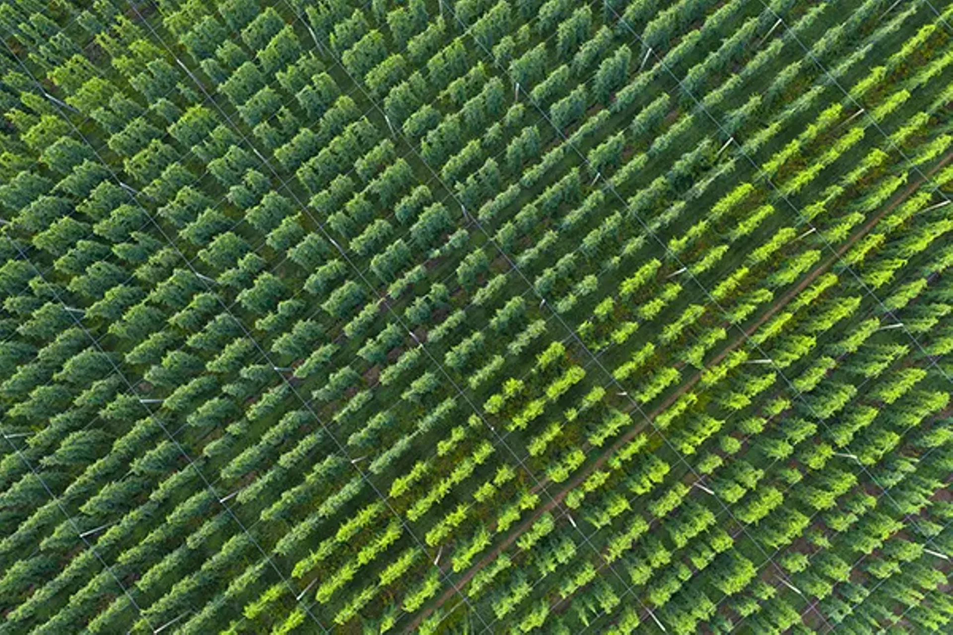 "Our Working Lands" by Caleb Kenna