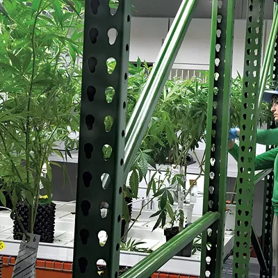 Image: Canadian Company Acquires Two Vermont Dispensaries in $25 Million Deal
