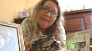 A Writer Reflects on Keeping a Turtle