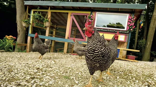 Image: Chicken Keepers Design Stylish, Functional Coops for Their Flocks