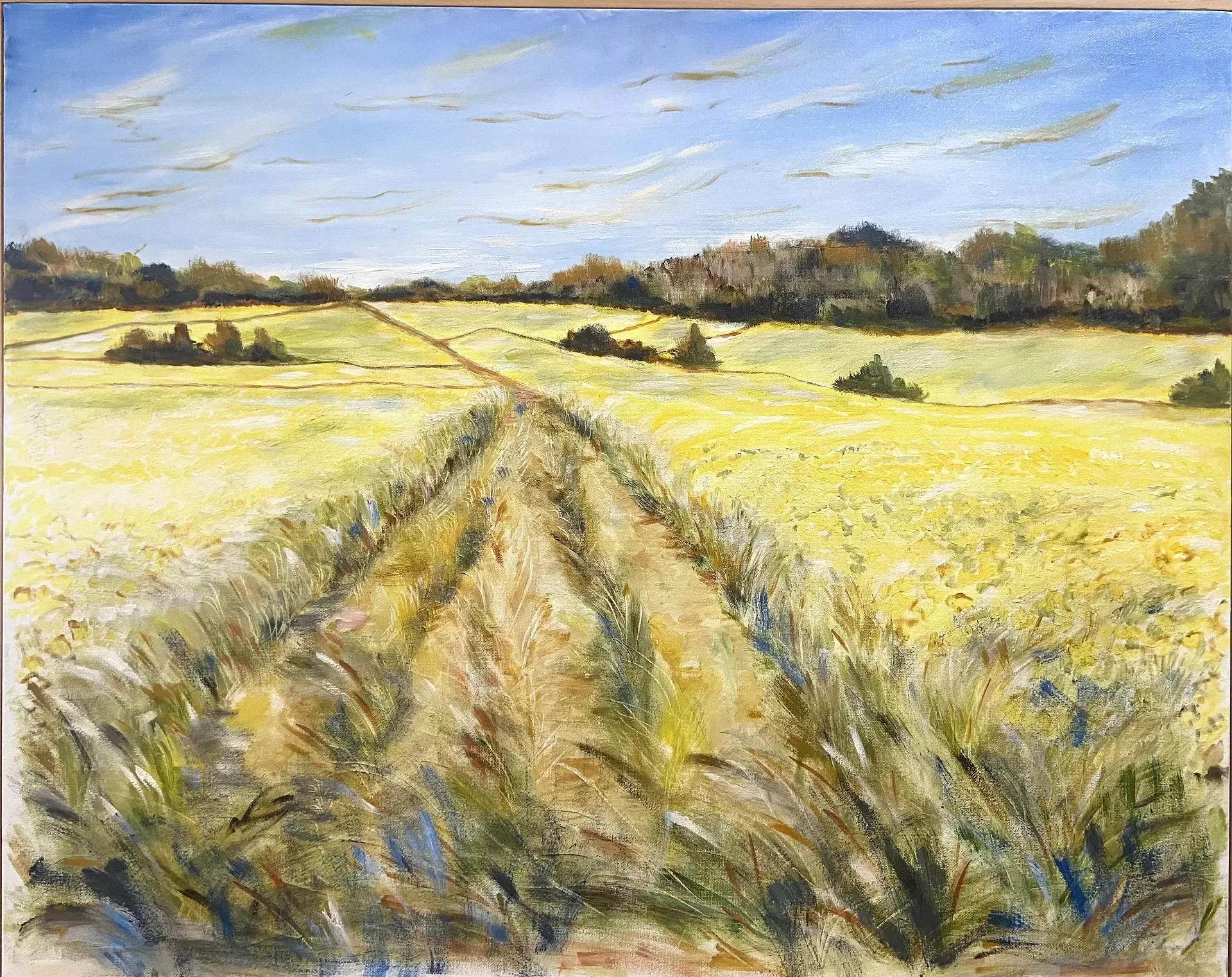 "Golden Field" by Donna Ciobanu