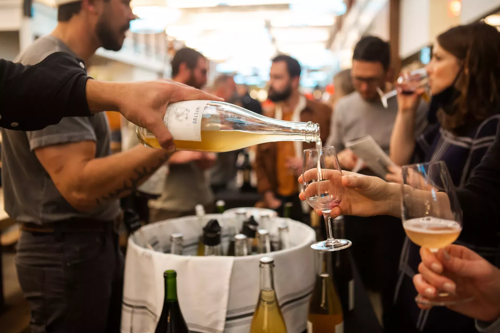 cosmic_wines_courtesy.webp
