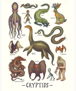 Image: Cryptid Club