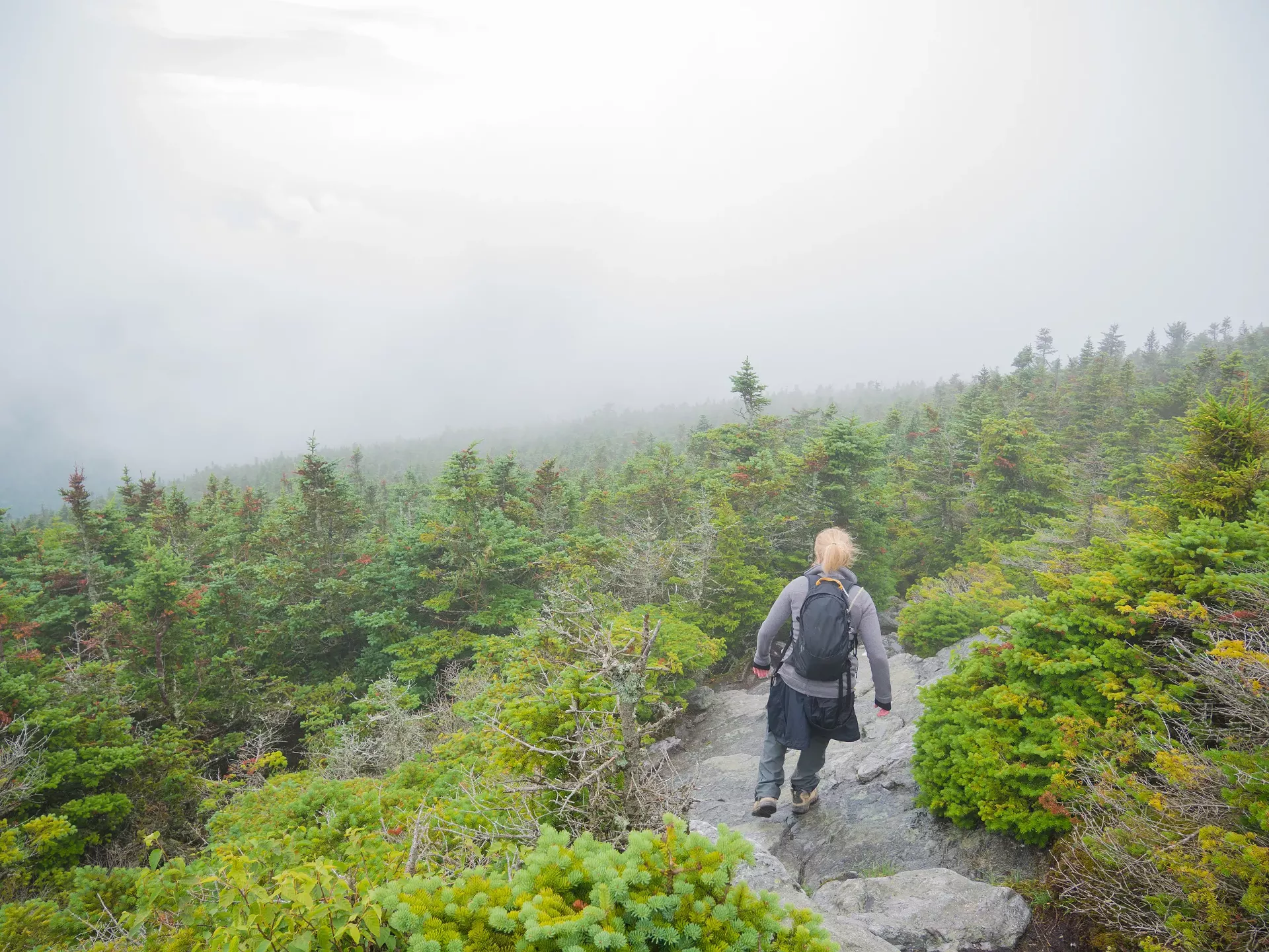 dayhike_dine_christian_ouellet_dreamstime-calendar-mag7-hamilton.webp