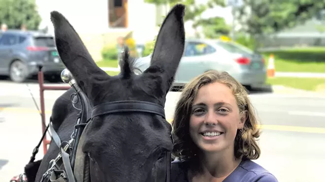 Image: Delivering Eggs by Donkey in Montpelier