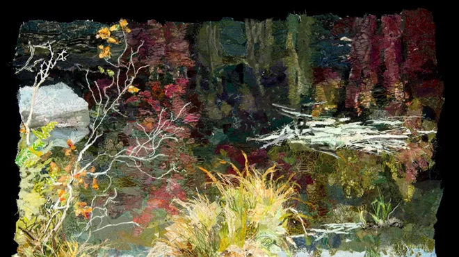 Image: Dianne Shullenberger