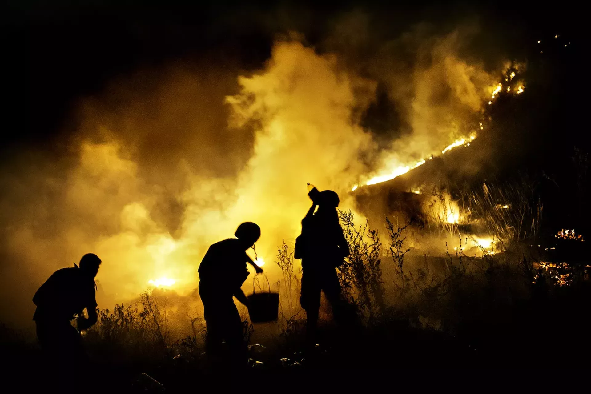Ukraine soldiers trying to extinguish fire from mortar shelling, Donetsk region, August 2016, by Dmitri Beliakov