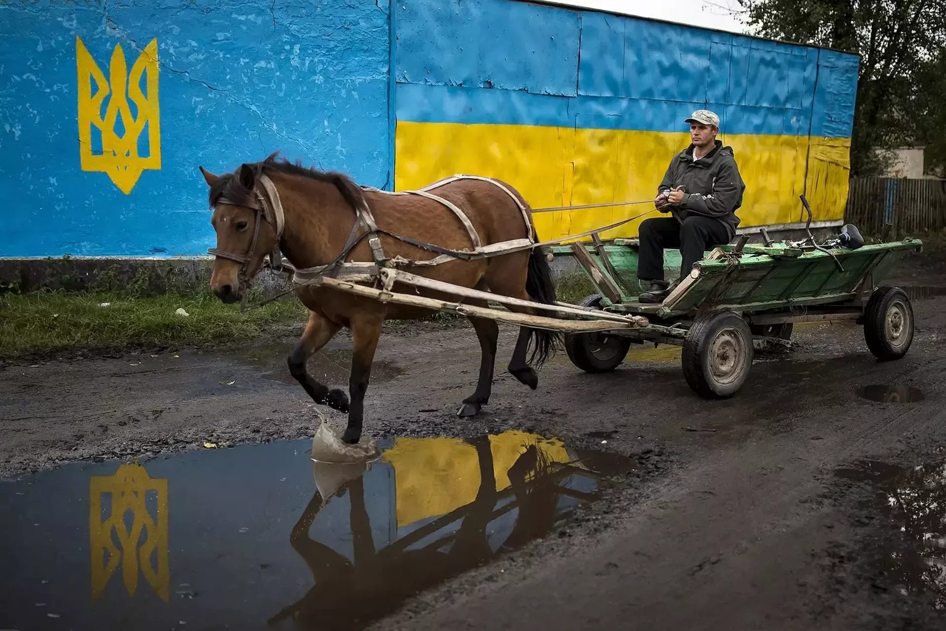 Photograph by Dmitri Beliakov