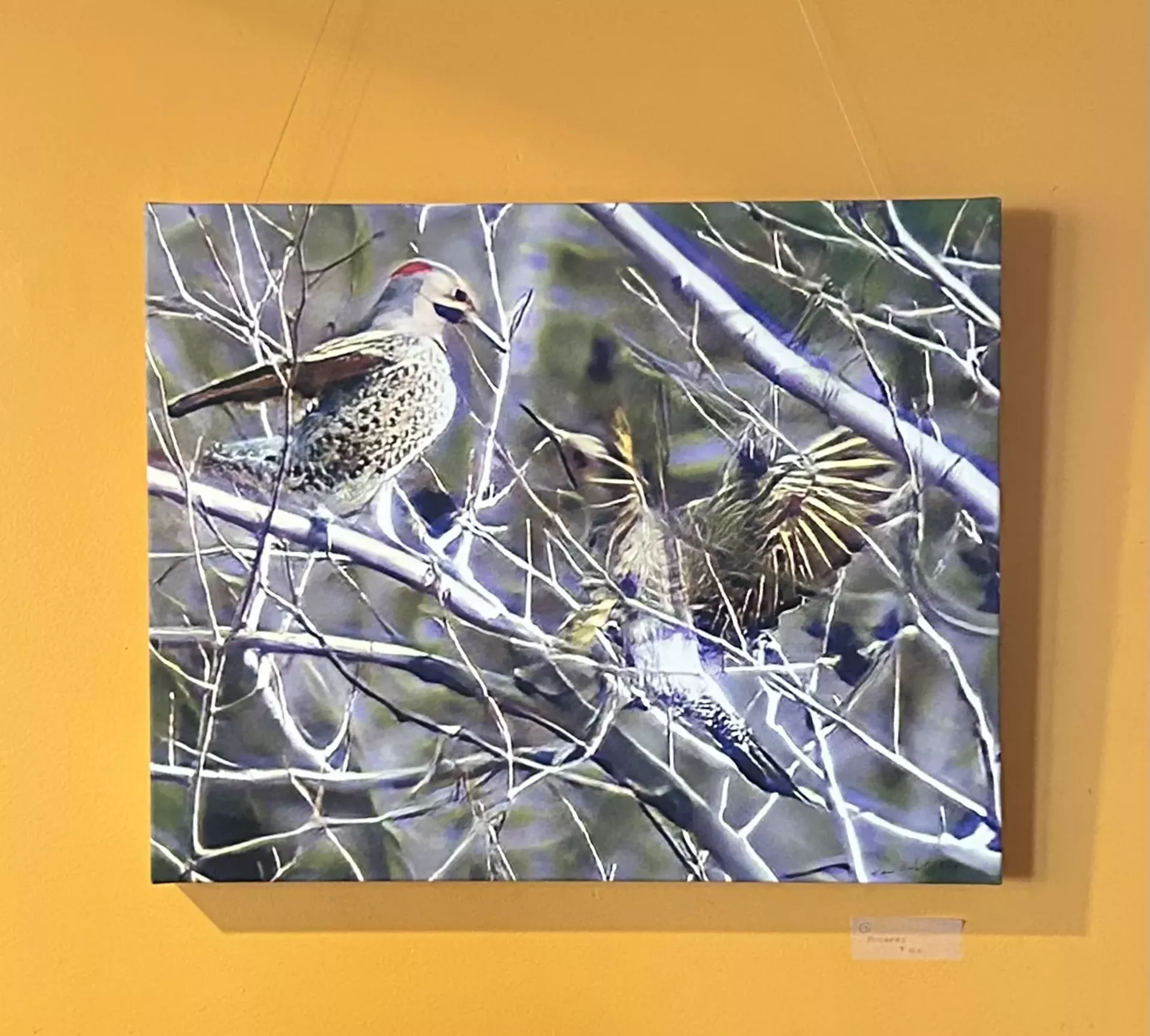 "Flickers" by Donna Underwood Owens
