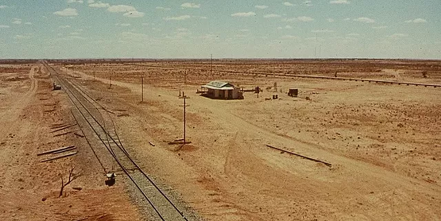 What I'm Watching: Wake in Fright
