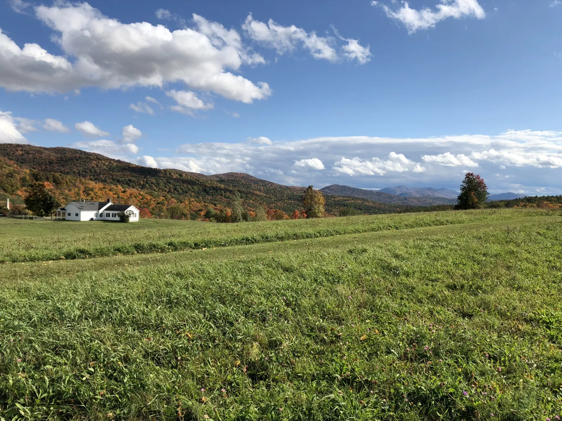 View from Hubbardton Battlefield