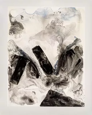 Image: Elizabeth Nelson
