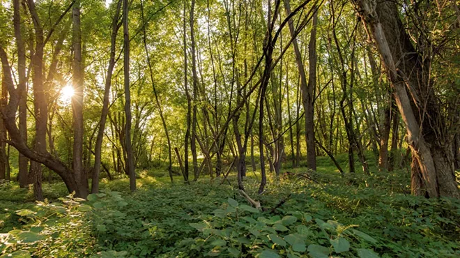 Image: Explore Hidden Wilderness Along the Burlington Wildways