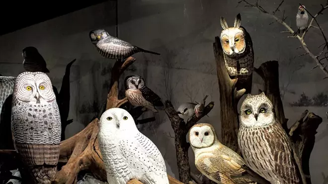 Image: Exploring Master Carver Bob Spear's Avian Artwork at the Birds of Vermont Museum