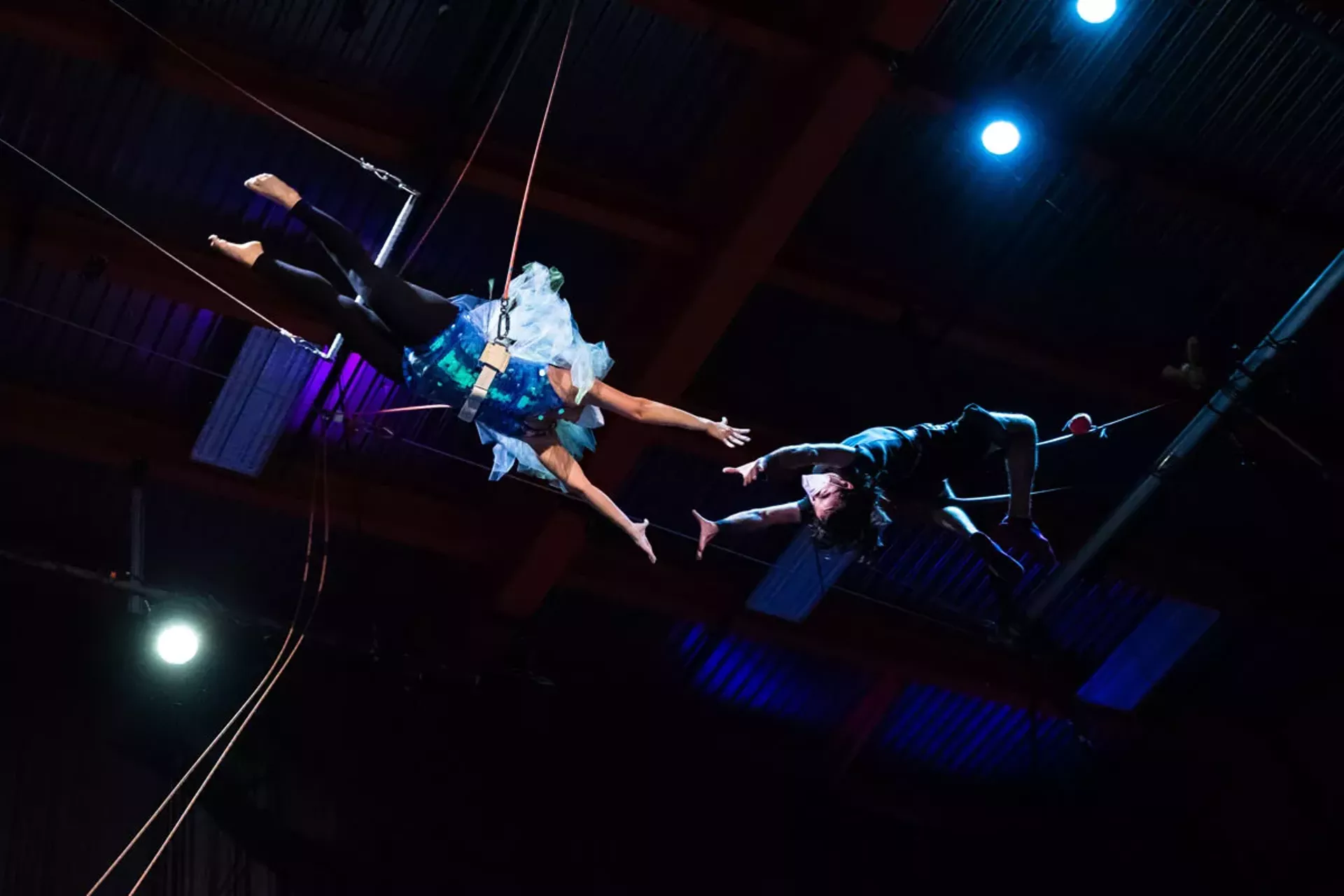 flight-night-trapeze-recital-courtesy.webp
