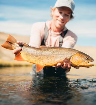 Image: Fly Fishing Film Tour