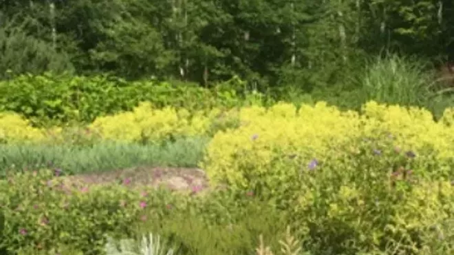 Image: Garden Tour