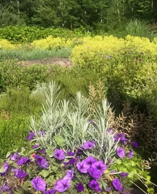 Image: Garden Tour