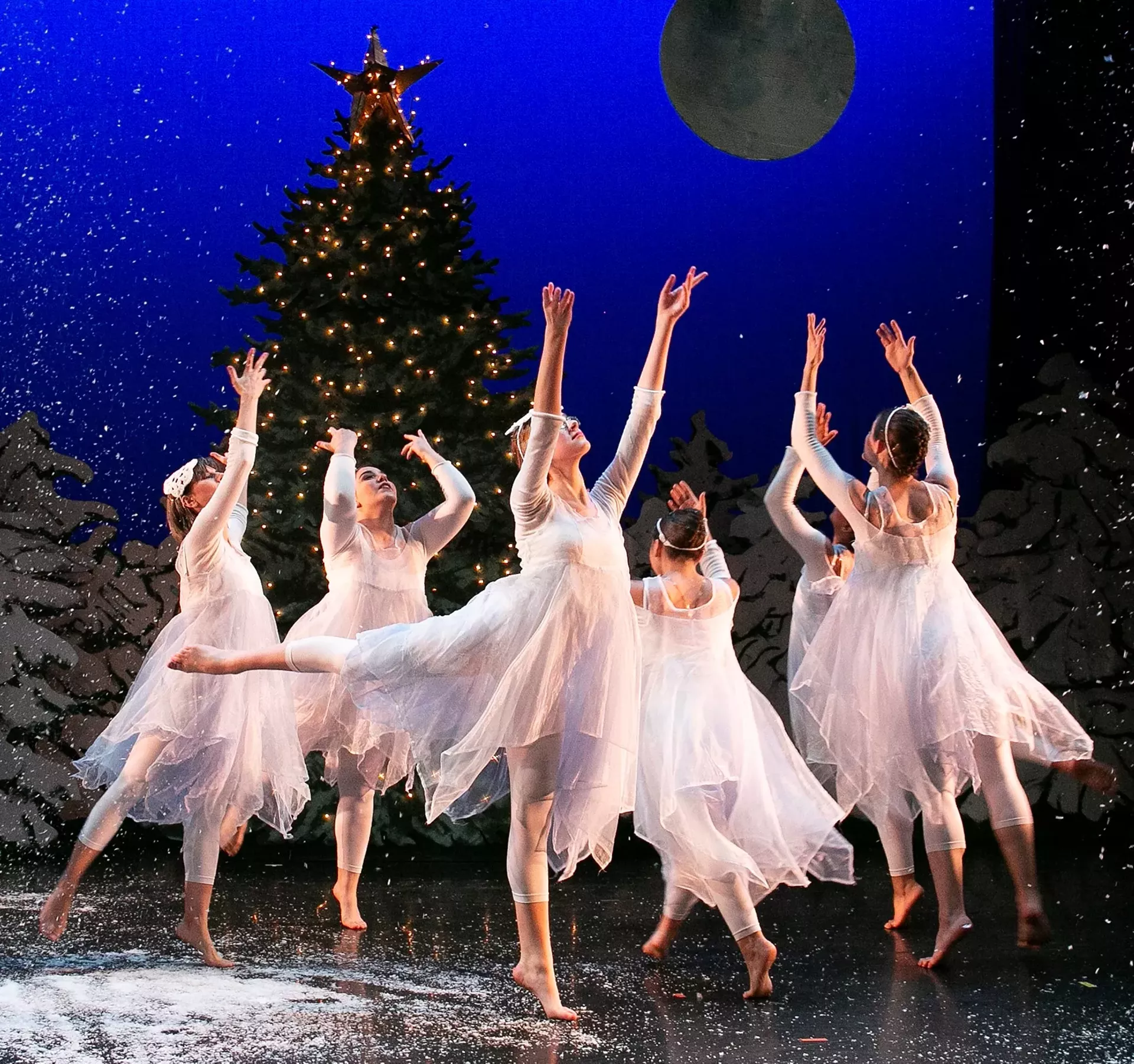 green_mountain_nutcracker_courtesy_of_abigail_feldman.webp