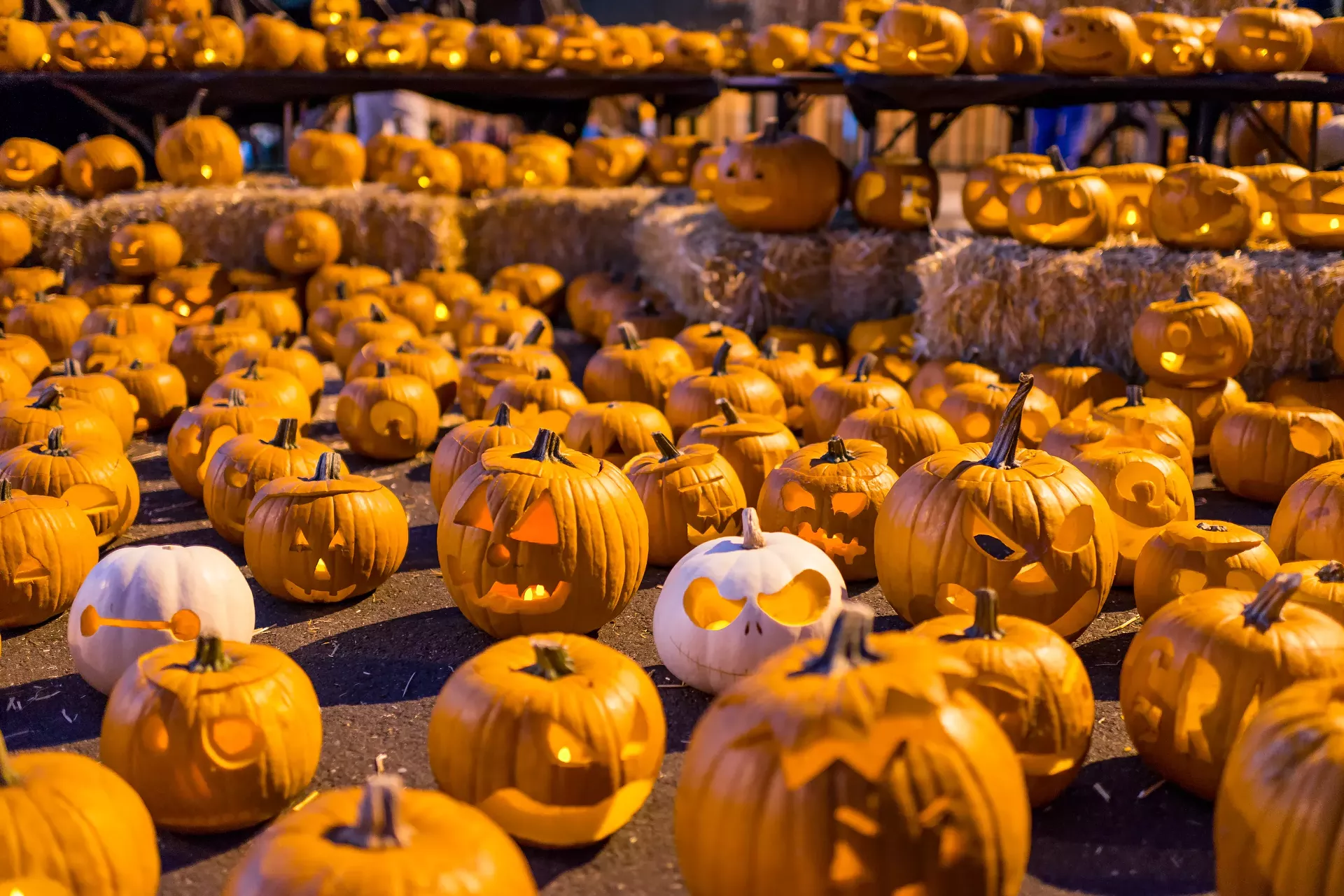 halloween_in_winooski____robert_schlie___dreamstime.webp