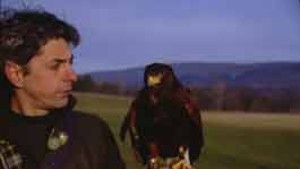 HAWK EYES Master falconer Rob Waite shows off "Miss Piggy."