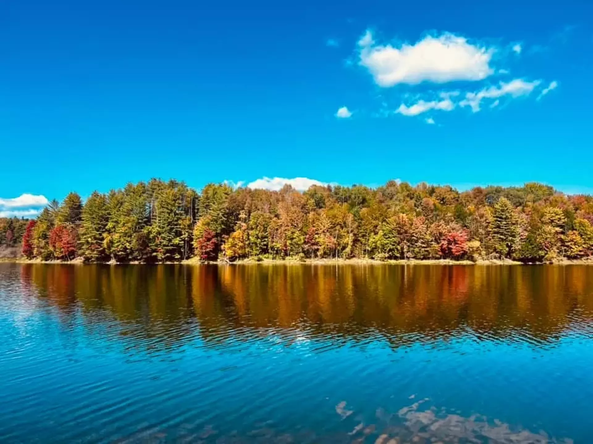 "Waterbury" by Isabel Frantz