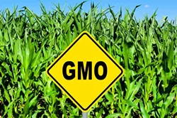 In Court, Vermont Makes Opening Salvo in Defense of GMO Law