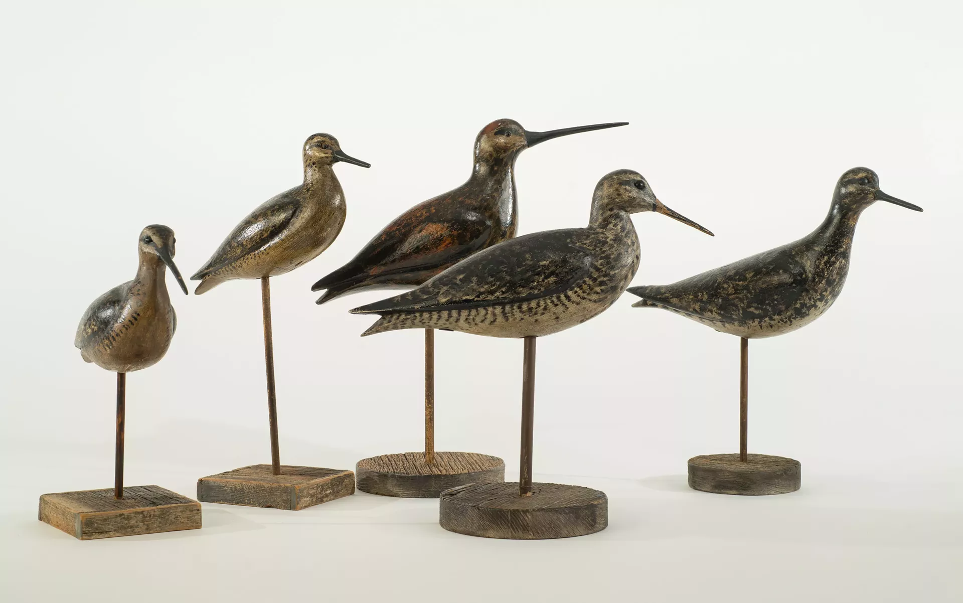 Dowitcher and Yellowlegs Shorebird Stick-up Decoys by Charles Sumner Bunn