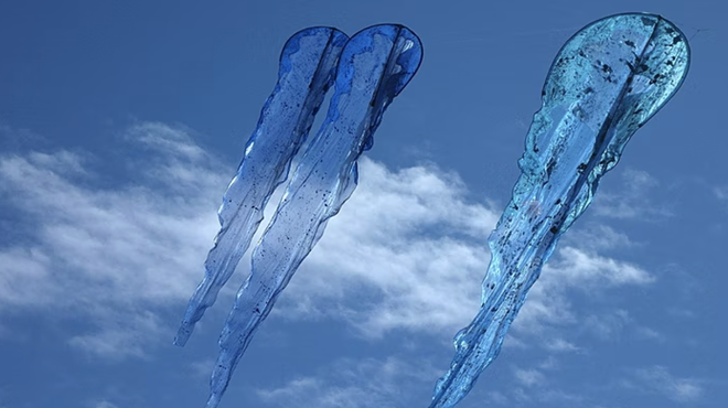 Image: 'In the Sky With Kisa Sauer'