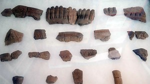 Iroquoi pottery fragments
