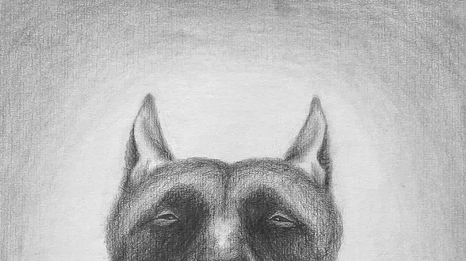 Image: Jamieson C. Gallas