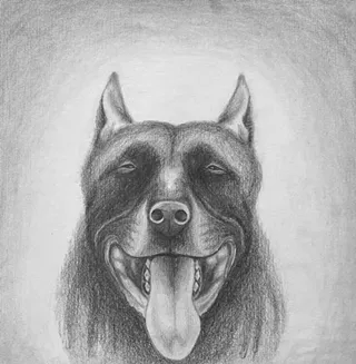 Image: Jamieson C. Gallas