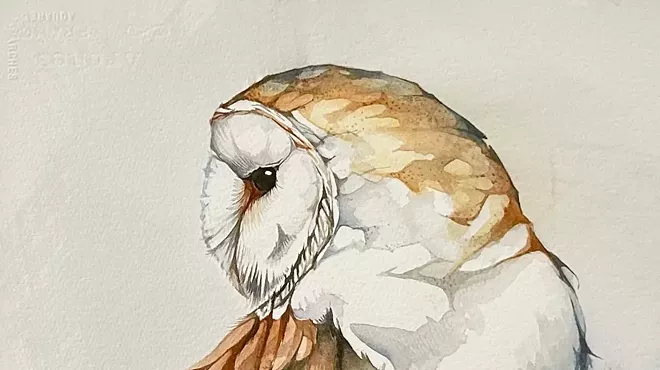 Image: Jennifer L. Anderson