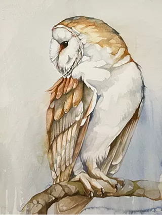 Image: Jennifer L. Anderson