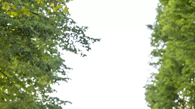 Image: Kalos