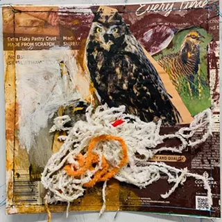 Image: Katherine Coons