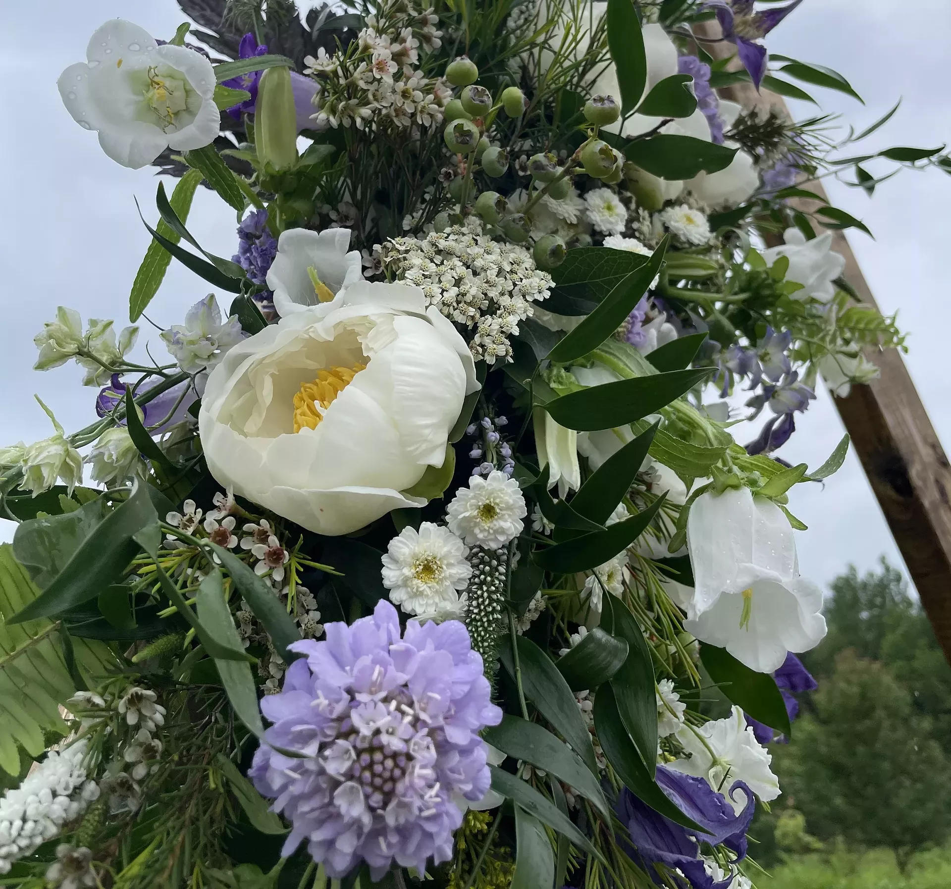 Flowers by Snaps and Sunflowers