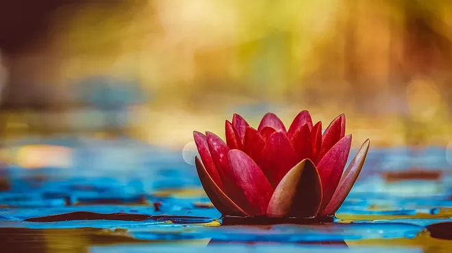Image: Keeping Hope Alive: A Four-Day Mindfulness Course