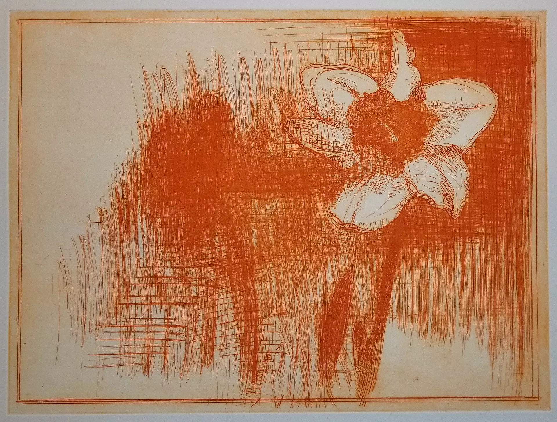 "Daffodil" by Kim Darling