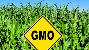 Label to Table: An 'Organic' Movement Leads Vermont Senate to Require GMO Labeling