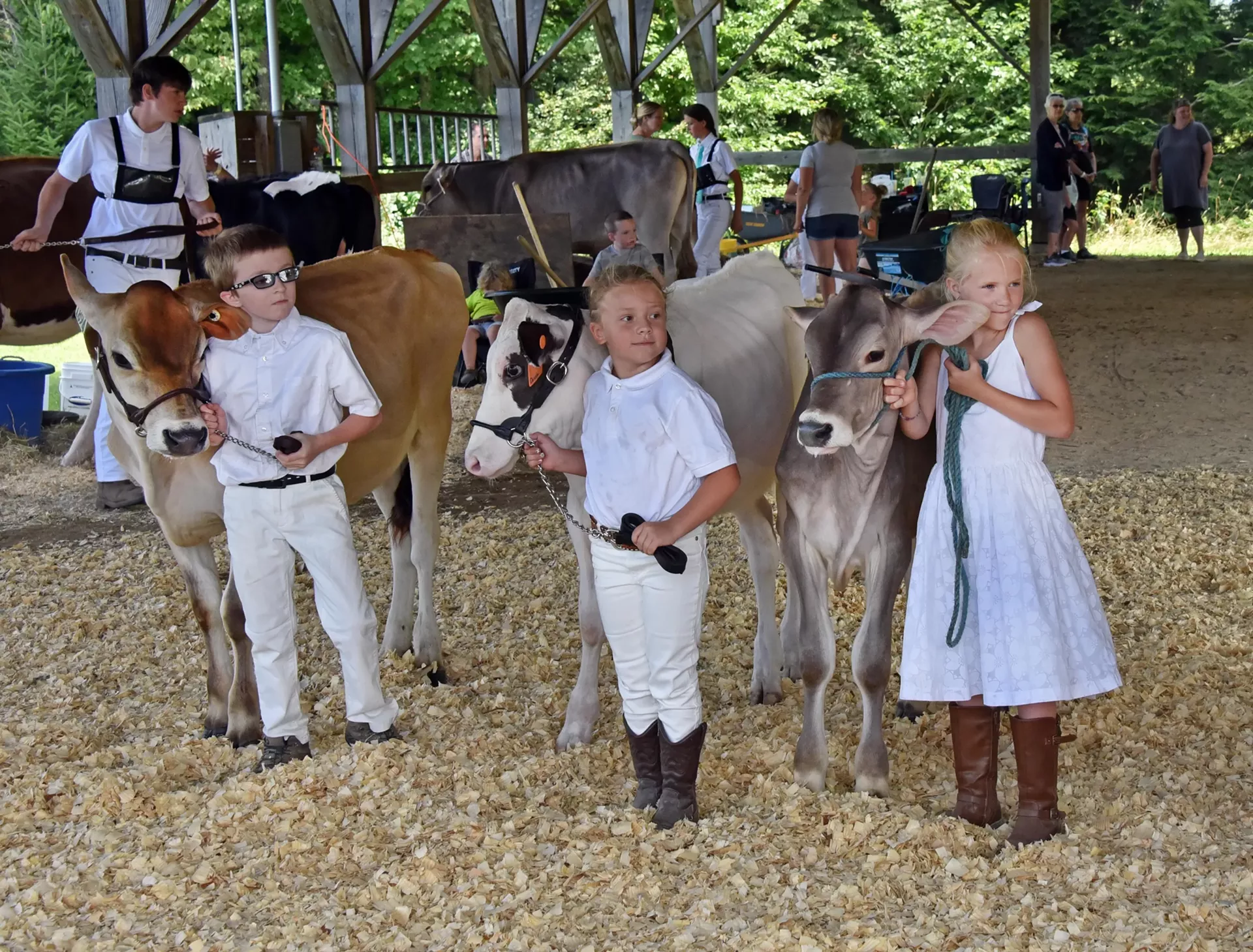 news_nc_lam_fair_4h_peewees_12_gm_3724.webp