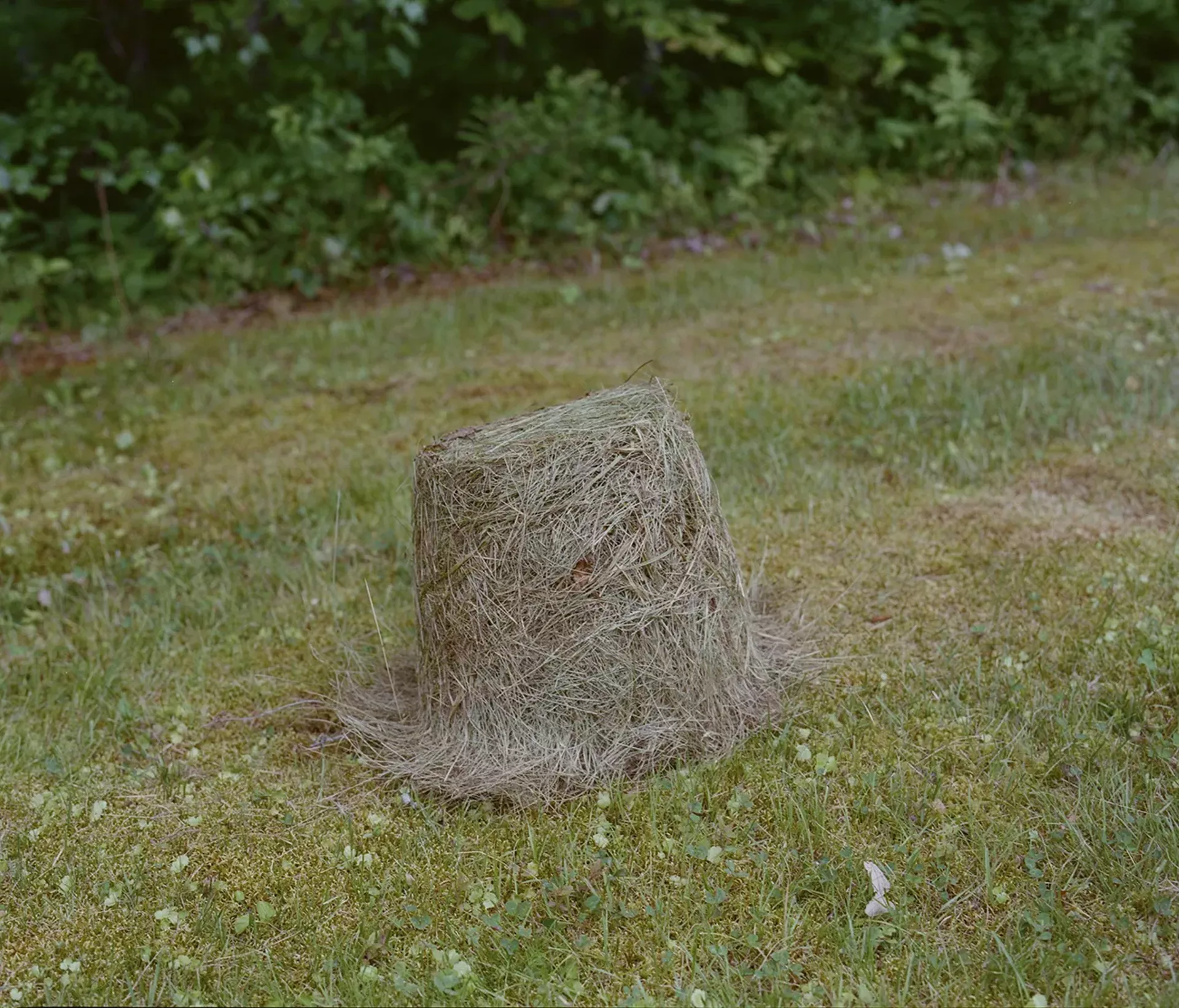 Grass sculpture by Landon Newton
