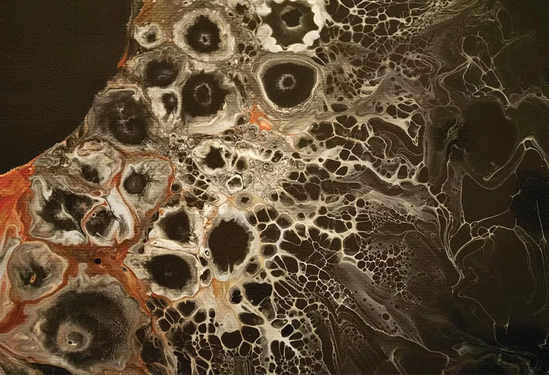 Image by Lily Stumpf