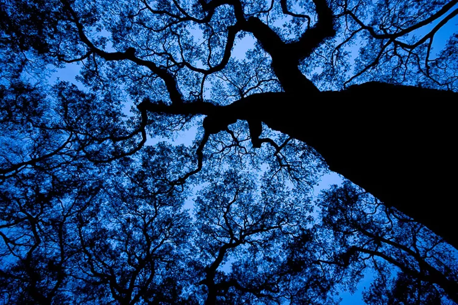 Photograph by Loren Fisher
