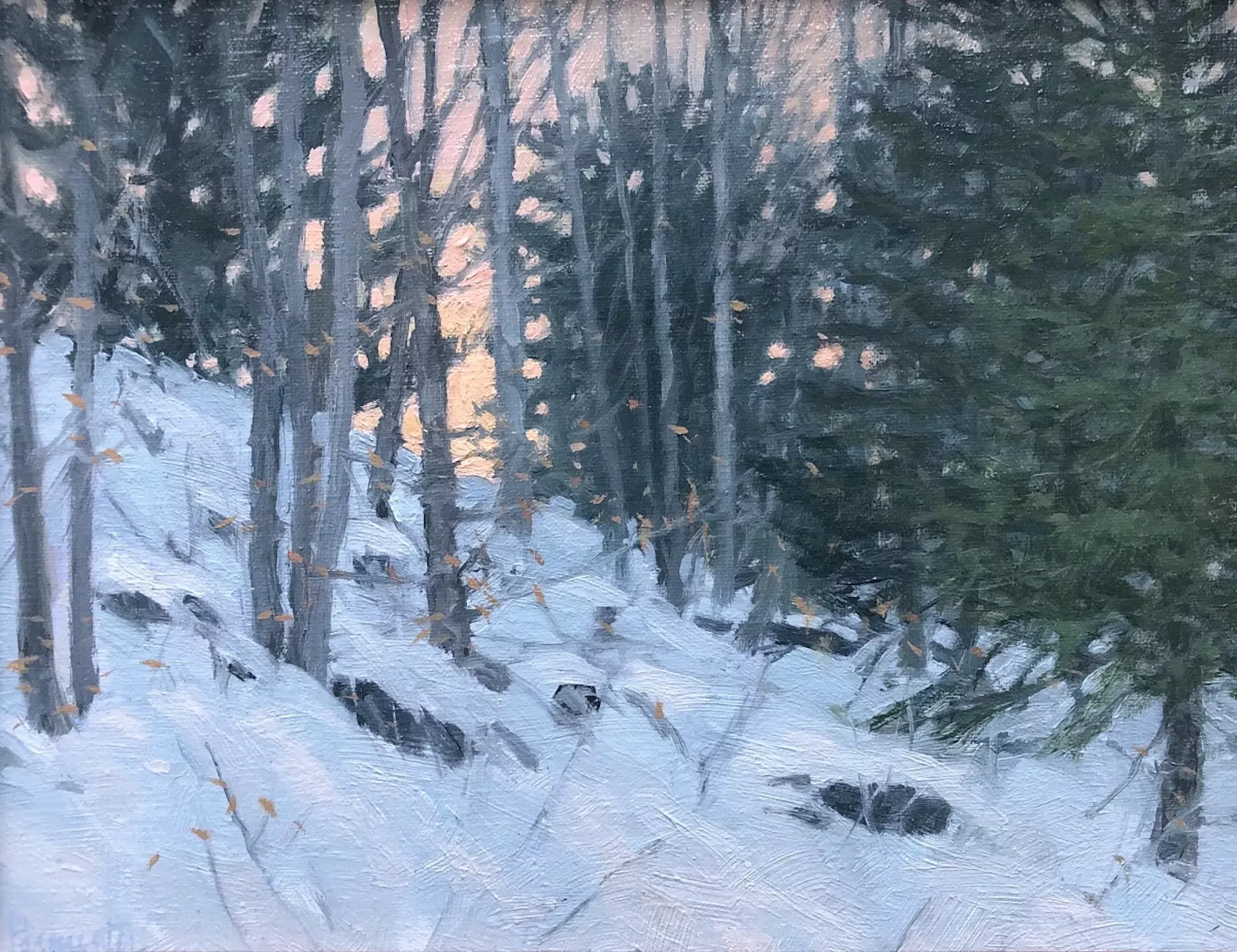 "Snow Day" by Susan Parmenter
