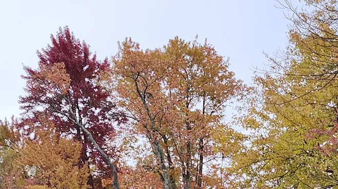 Image: Missisquoi Wildlife Fair