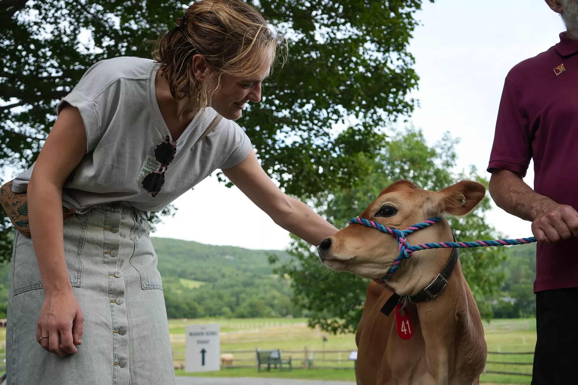 moos___brews_at_billings_farm___museum.webp